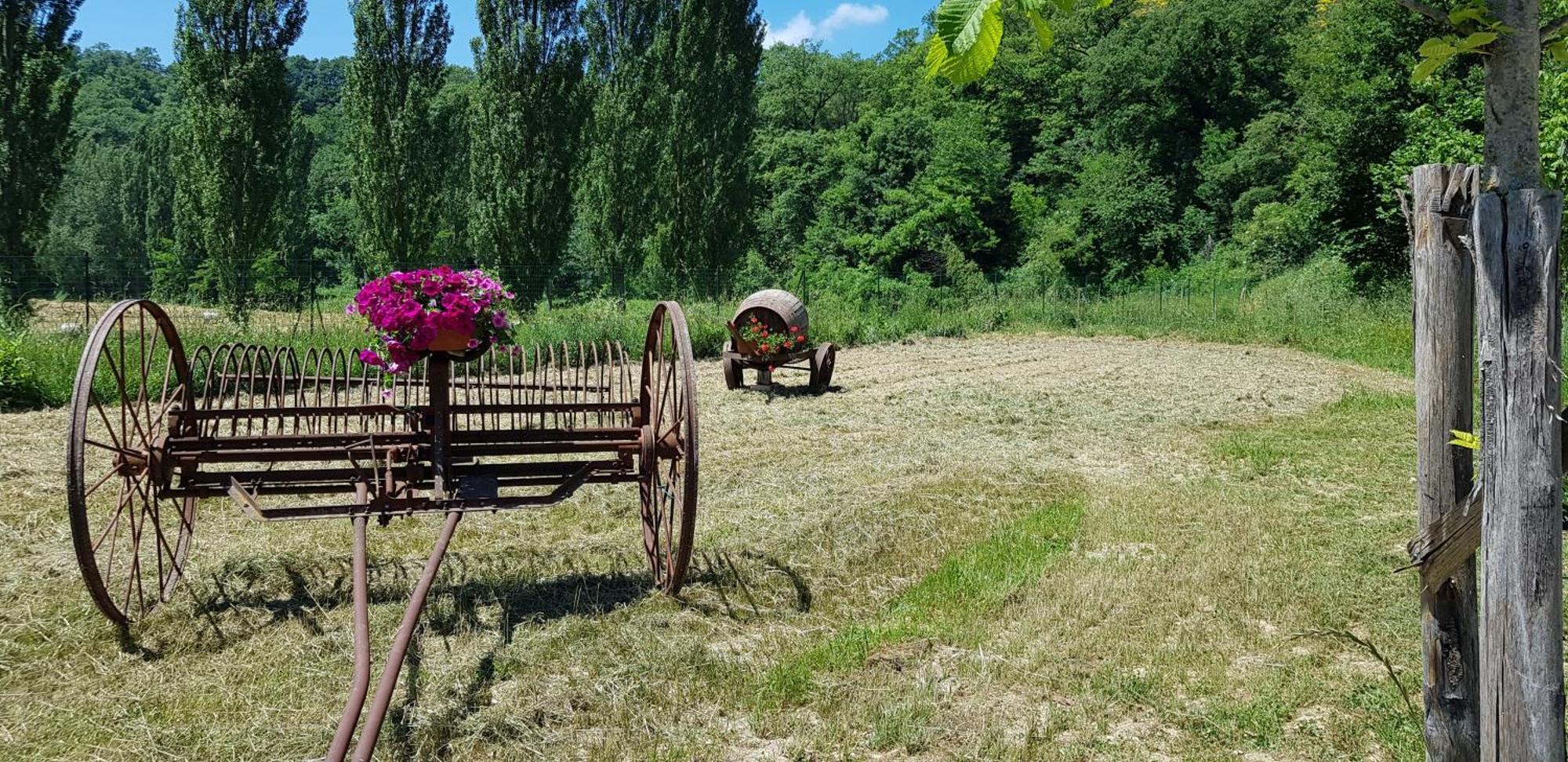 Il Ciottone Villa Nocera Umbra Eksteriør billede